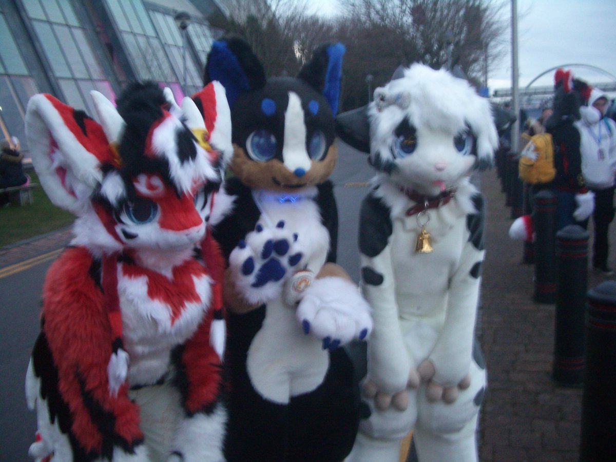 Tangle 🔜 Cfz tweet media