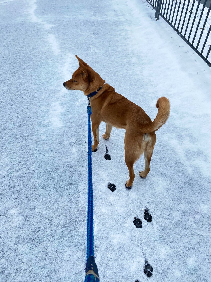 おはようございます♪