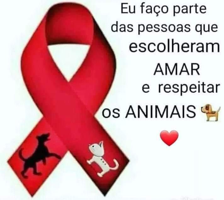 #JUSTICAPORABACATE 
#JustiçaPorOrelha 
#JustiçaPorChico 
#JustiçaPorPretinha
#JustiçaPorTodosAnimais