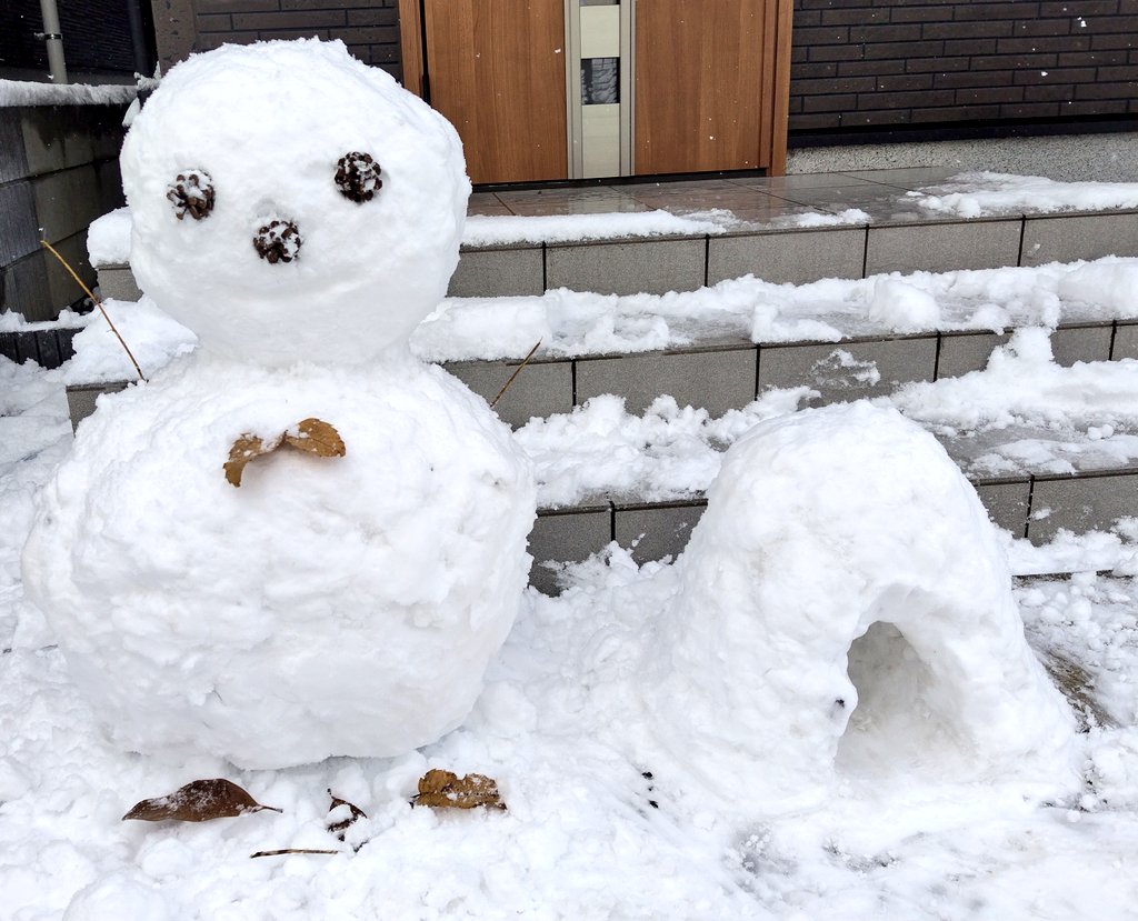 夫婦で作った雪だるま🤗