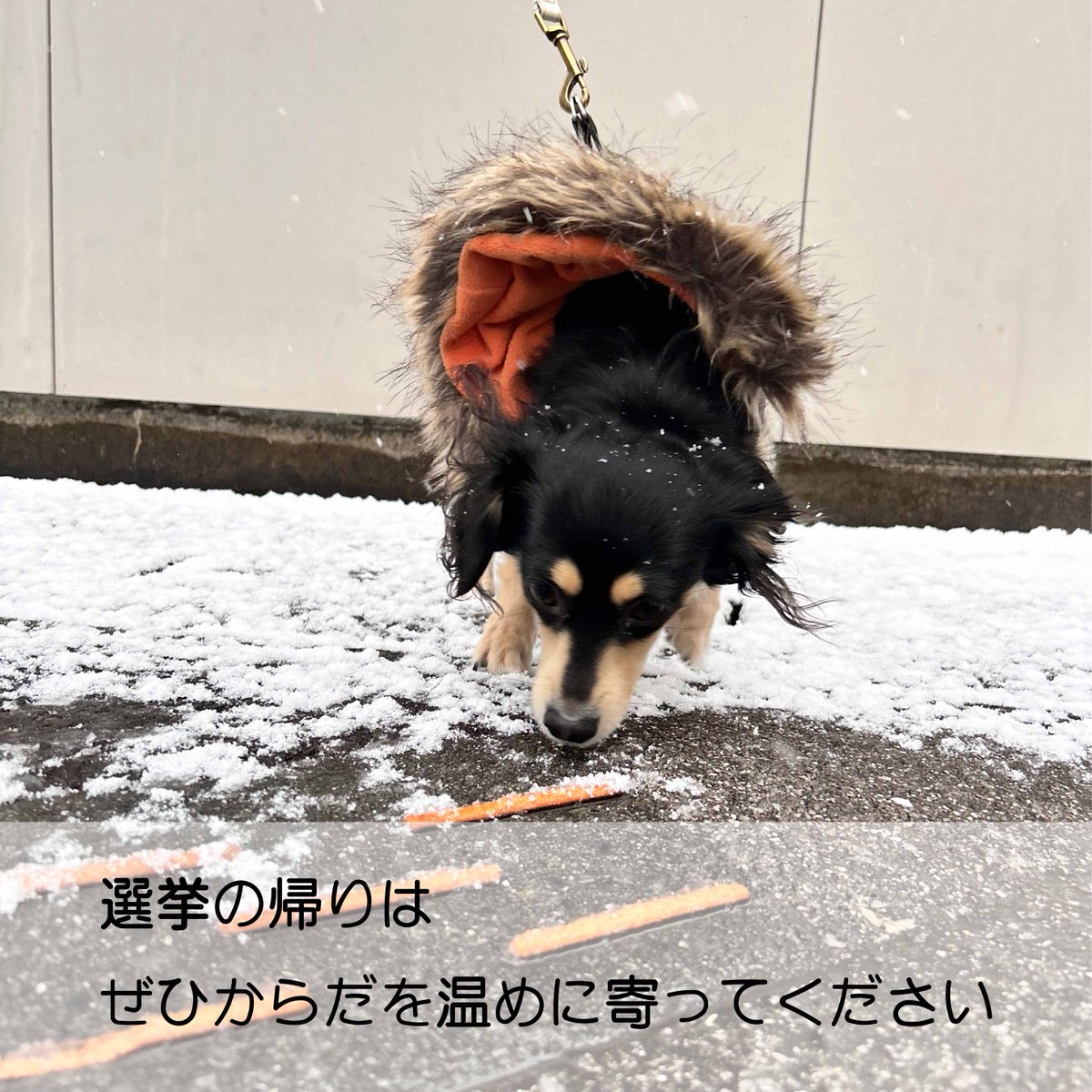 CE_114's tweet photo. https://t.co/B03MYL23PN