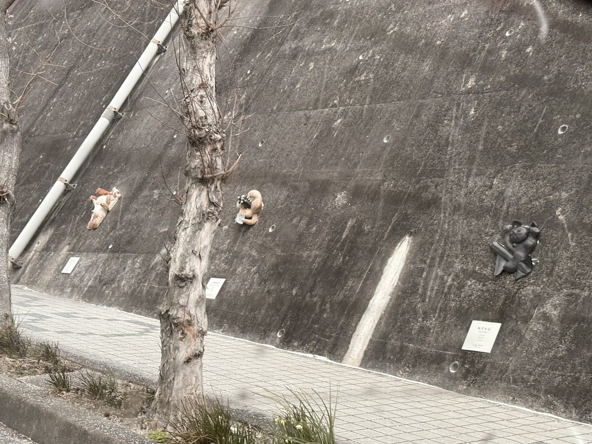 すごい！壁に焼き物が埋まってる
美術館とかもあるんかなあ