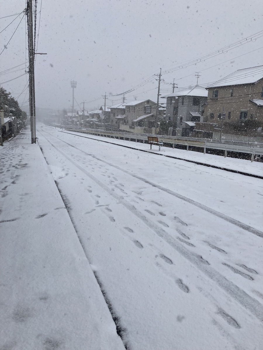 いきなり家の前が雪国となりました。
雪の降る中、なんとか選挙には行きましたが、
バスが止まっているのでシネマ合評会には行けない😢