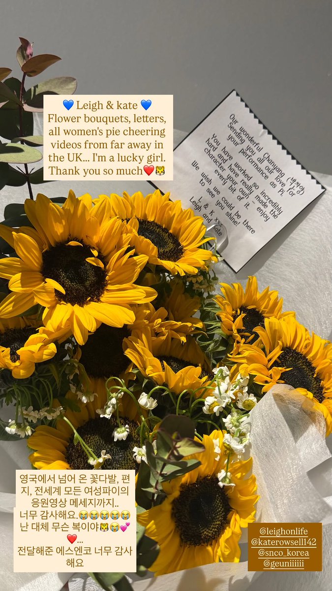 전세계 모든 여성파이의 응원영상 받았대🥹
여성들만이 보여줄 수 있는 게 분명 있는데..
우리 또 하자... 다음엔 고정으로 하자...