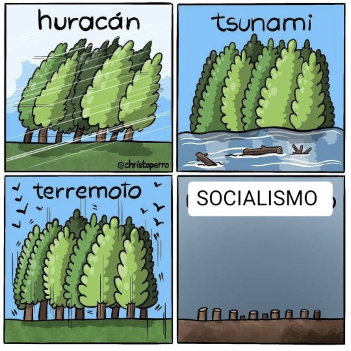 🔴 Absoluta verdad.