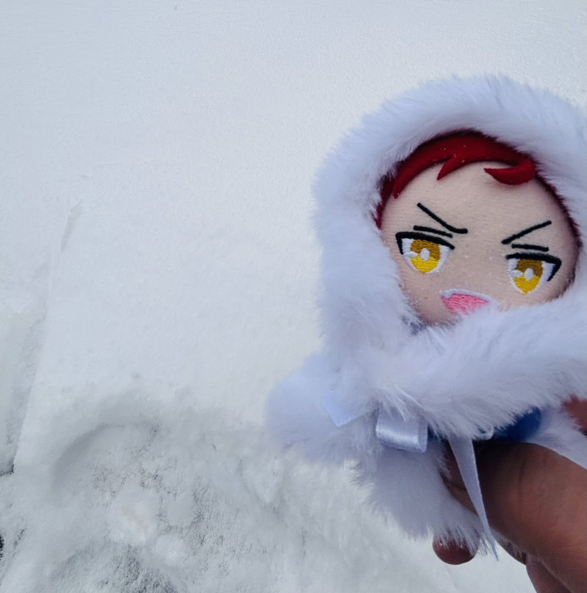 アホみたいに積もってて雪⛄️⛄️