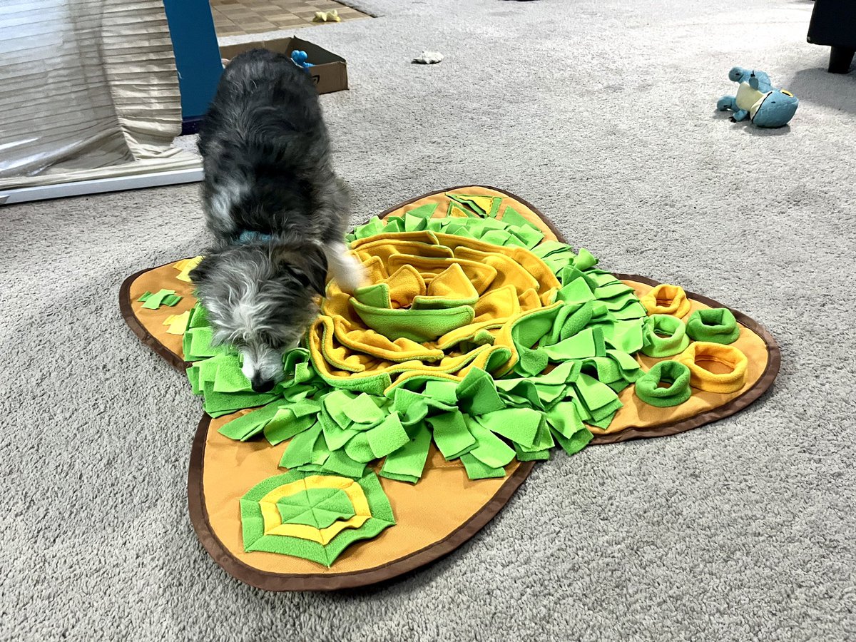 Heather Ham tweet media