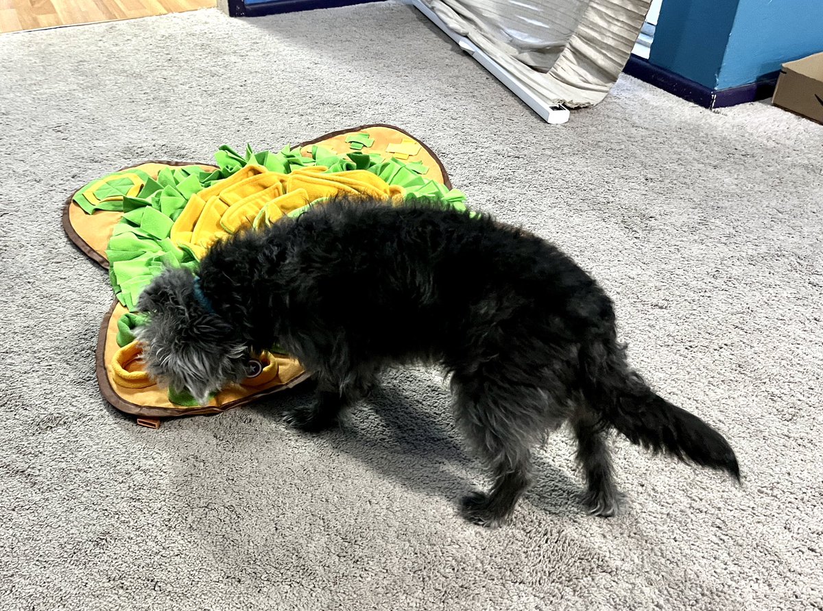 Heather Ham tweet media