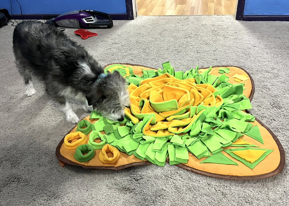 Heather Ham tweet media