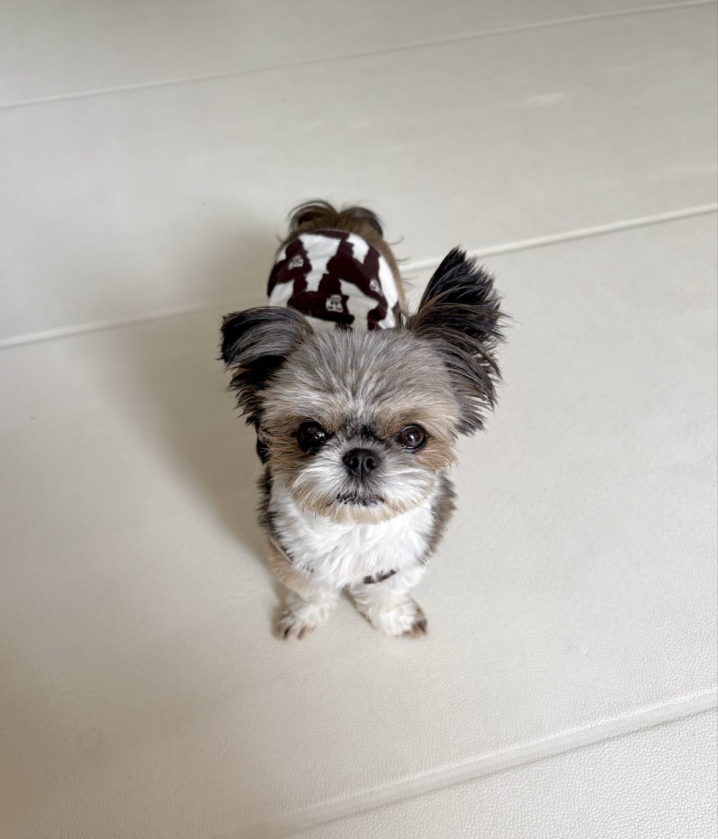 雪を見せたら、じっと見つめていました