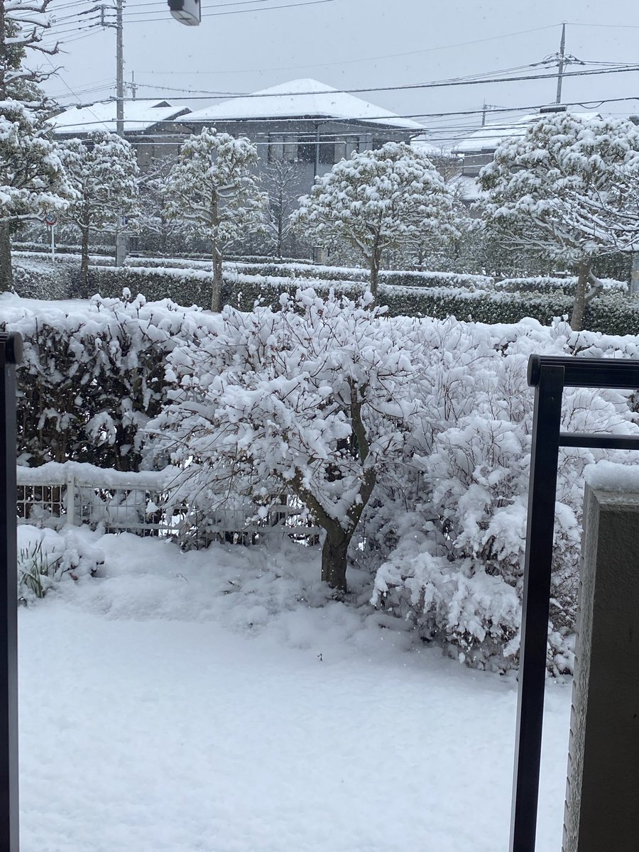 結局こう。
仕事もリスケになったので、雪だるま作ります⛄️