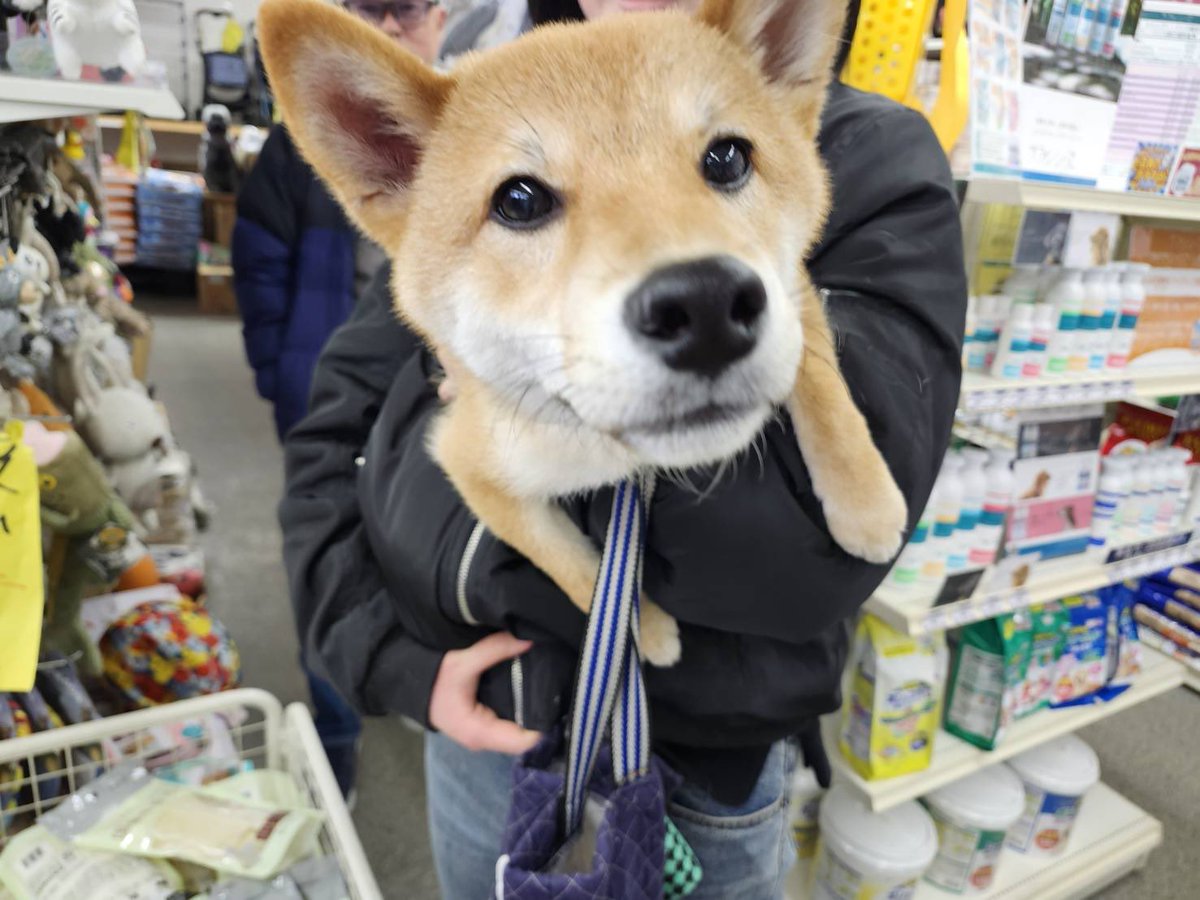 ハチくん💕
ご来店ありがとうございました☺️