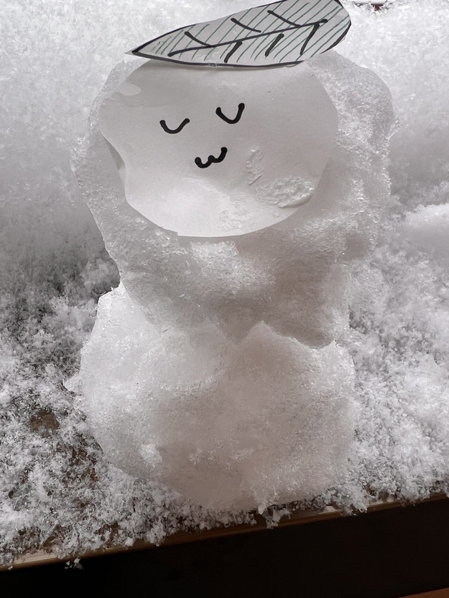 うおおおお！！！！！！！！！！雪だーーーーーーーー！！！！！！！！！！