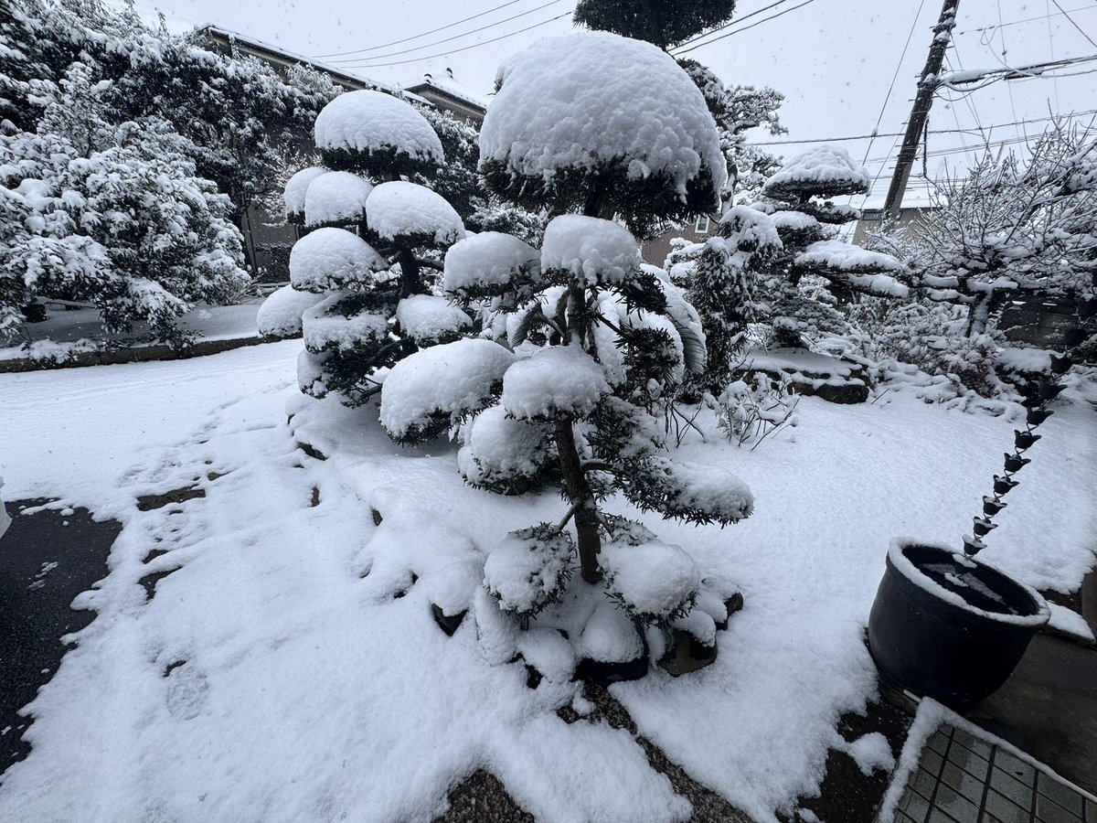 だいぶ積もってる