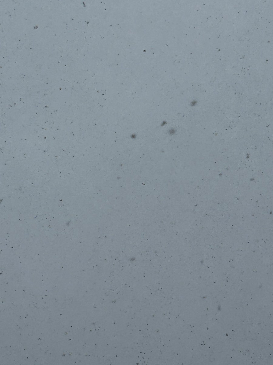 吹雪いとるやんけぇ