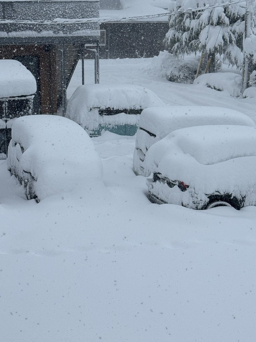 大森誠／HP制作＆地域メディアサポート tweet media