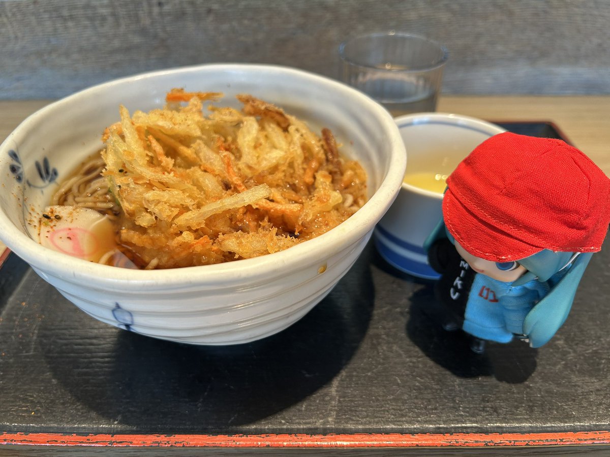 今日は雪降る中のお出かけなので、かき揚げ天たま蕎麦でしっかり身体を暖めて行くヨー❄️

別に夏でも冬でもこの蕎麦食べているんじゃないのかヨー🥢

#ミクダヨー
