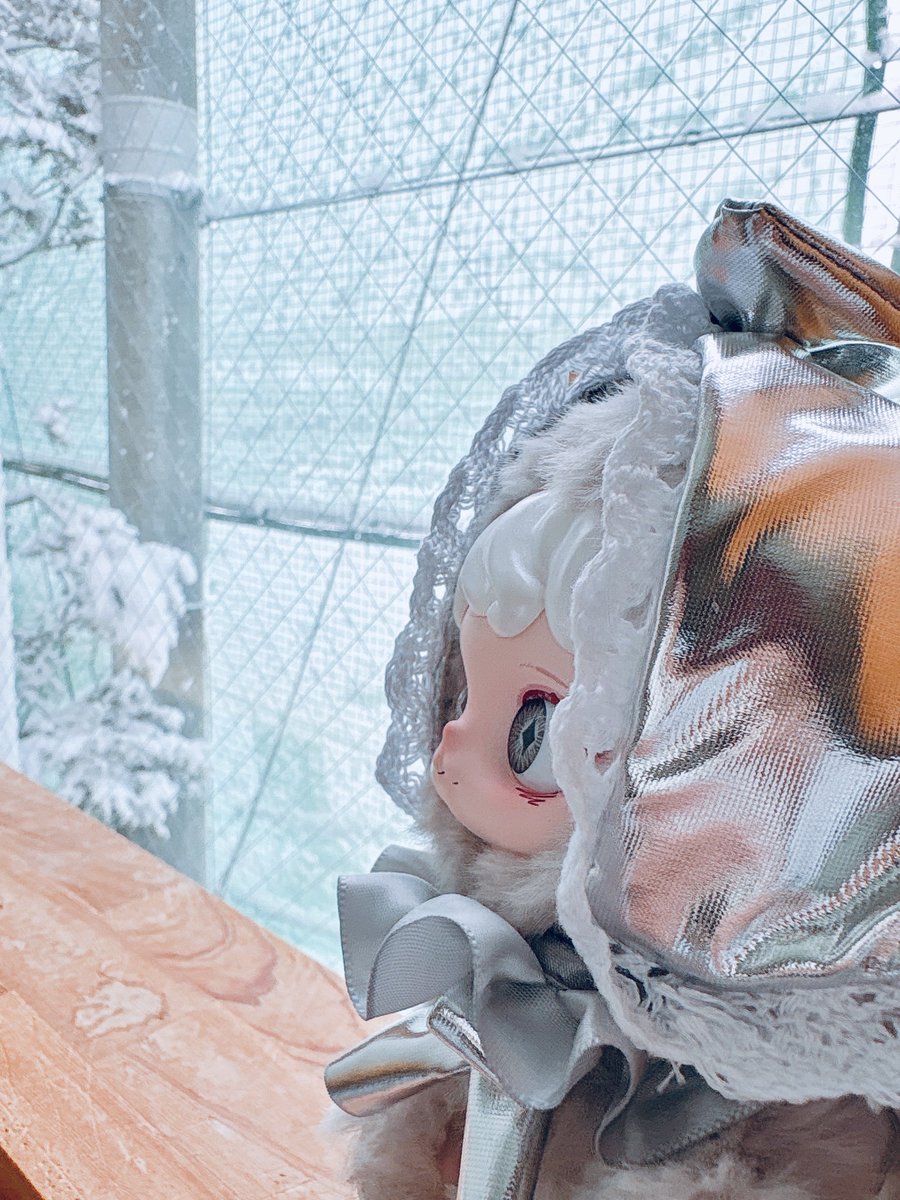 miocoにも雪見せといた