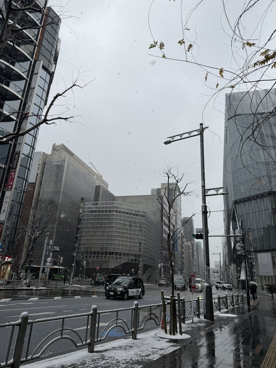 大阪では滅多に見れない雪！
雪を見れてるんるんしてます♪笑