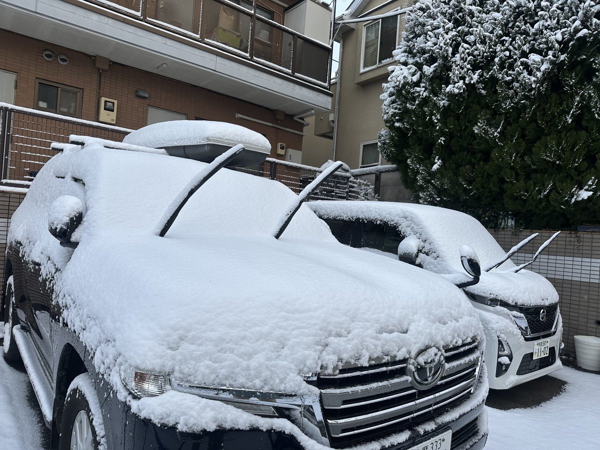 Sunnosuke_Chaya's tweet photo. 東京雪❄️
#三の助 
#東京雪 https://t.co/Ho5fDKsFcb