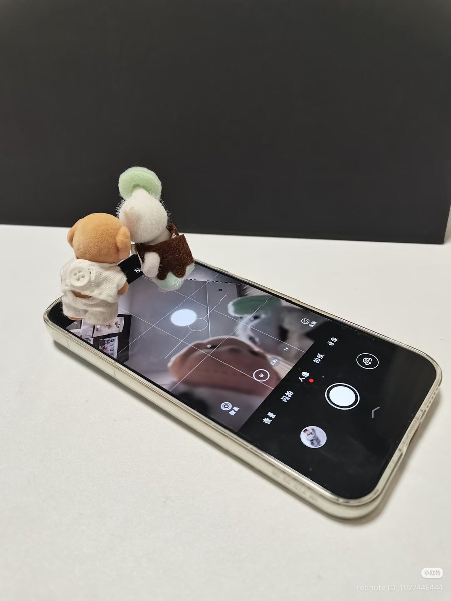 /ᐠ - ˕ -マ tweet media