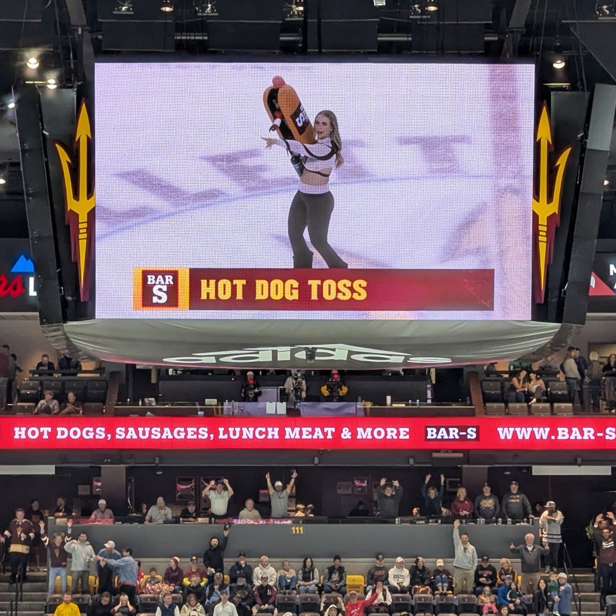 Sarah Kezele 🌵 tweet media