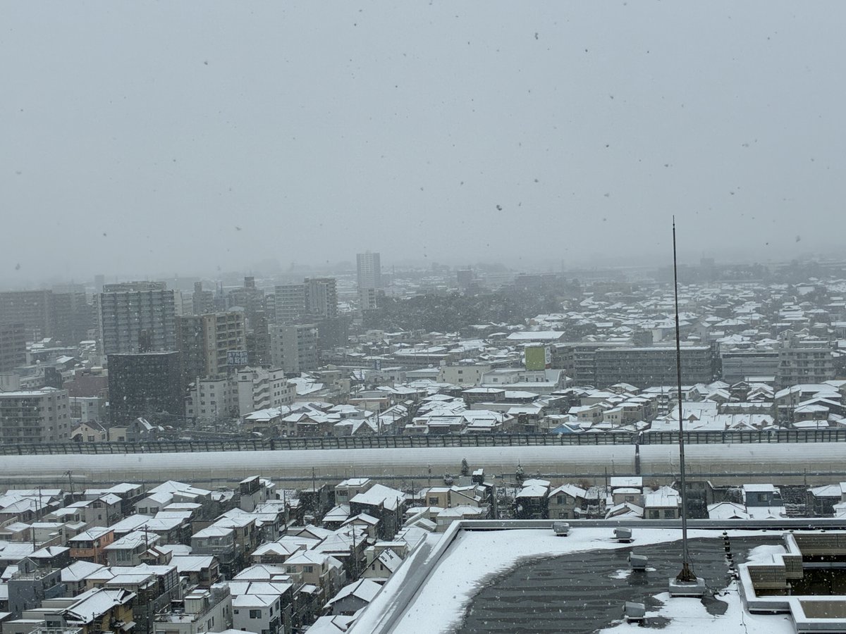 moo runner tweet media