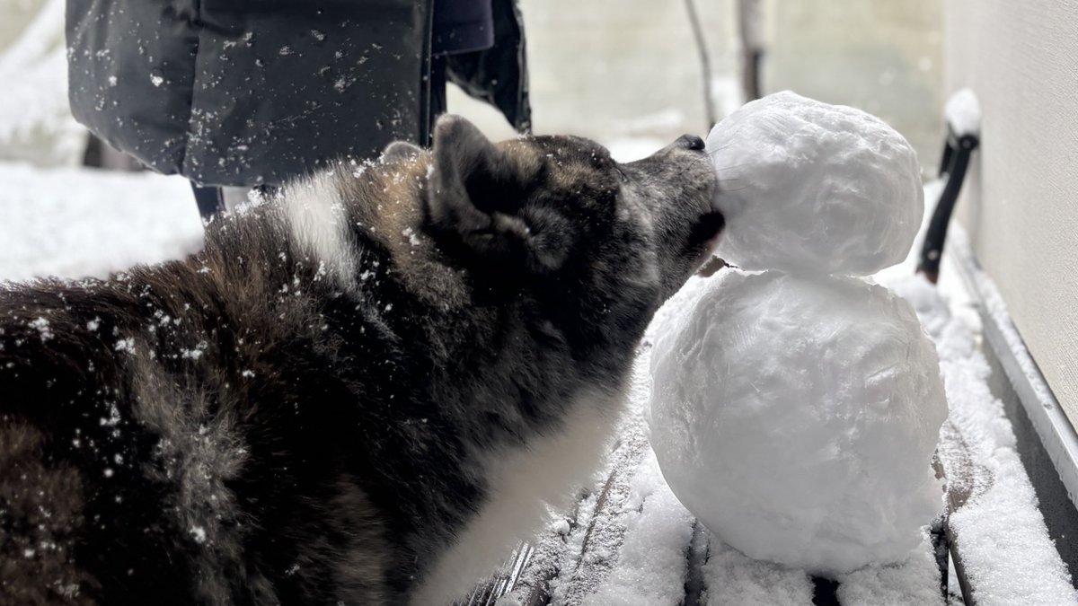雪の為、開店の時間が遅れます🙇🏻‍♂️13時オープン予定です🙇🏻‍♂️🙇🏻‍♂️