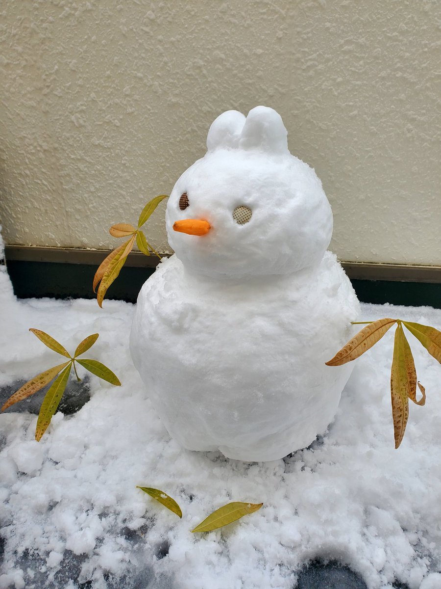 gamblant's tweet photo. 大洗で積雪なんて とても久しぶりです https://t.co/h9F2SdWZYu