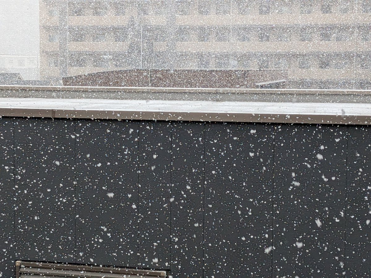 Rallyart5712's tweet photo. 雪···。
寒いので今日はCo2で遊ぶかのぉ。
シリアルナンバー、『XF005555』のAUTO9。
なんか嬉しい。
#KSC #AUTO9 https://t.co/2ofjfpzvRp