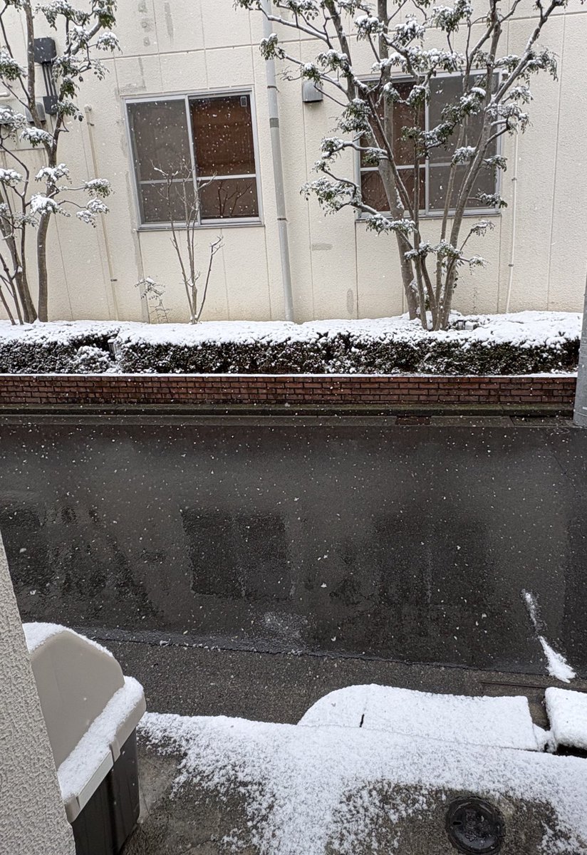 🐥いま会いに行きます

でも❄️〜😂😂