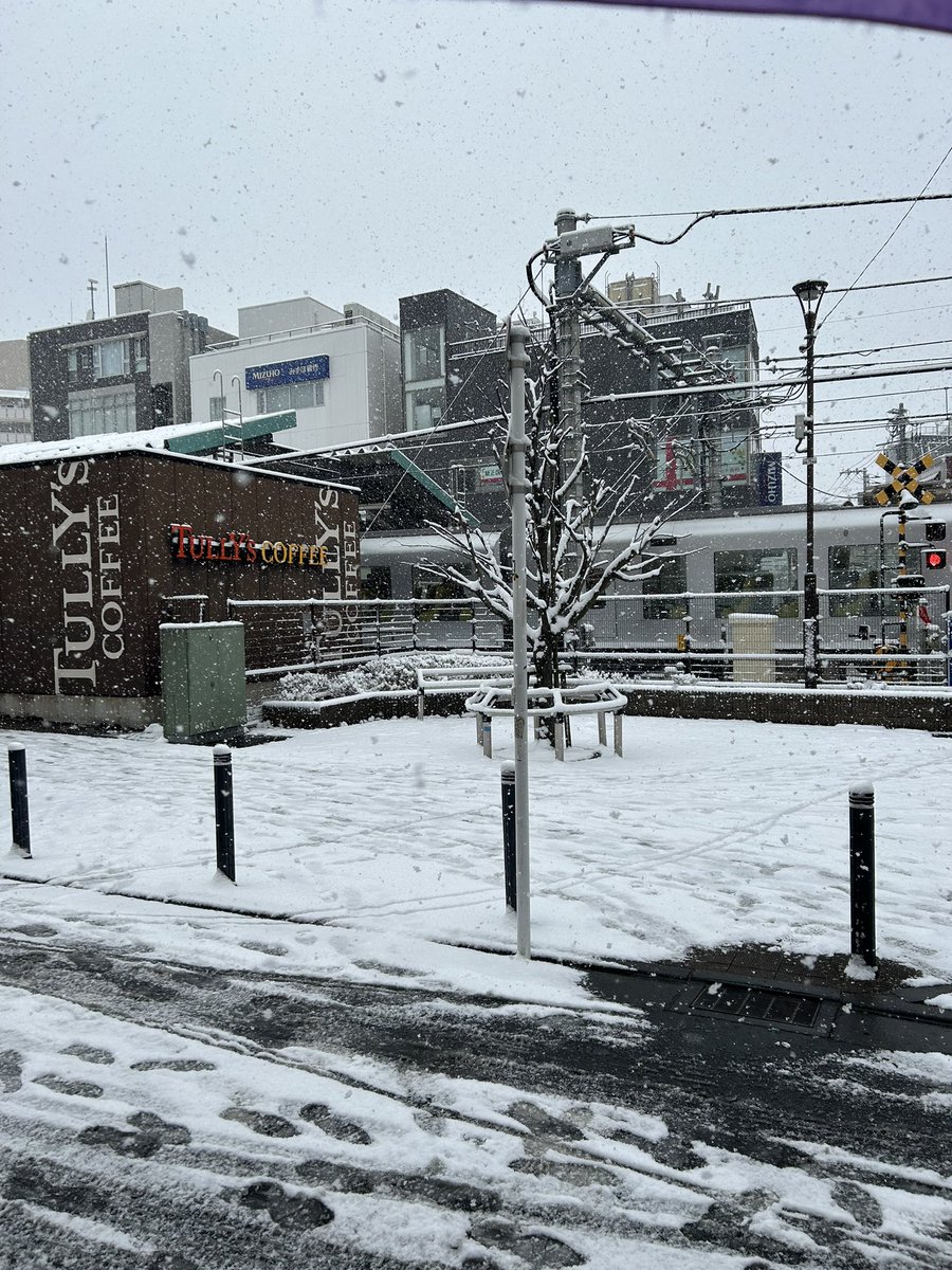 Post by ガンちゃん@ガンガンLIVE on X: 始まりの予感！