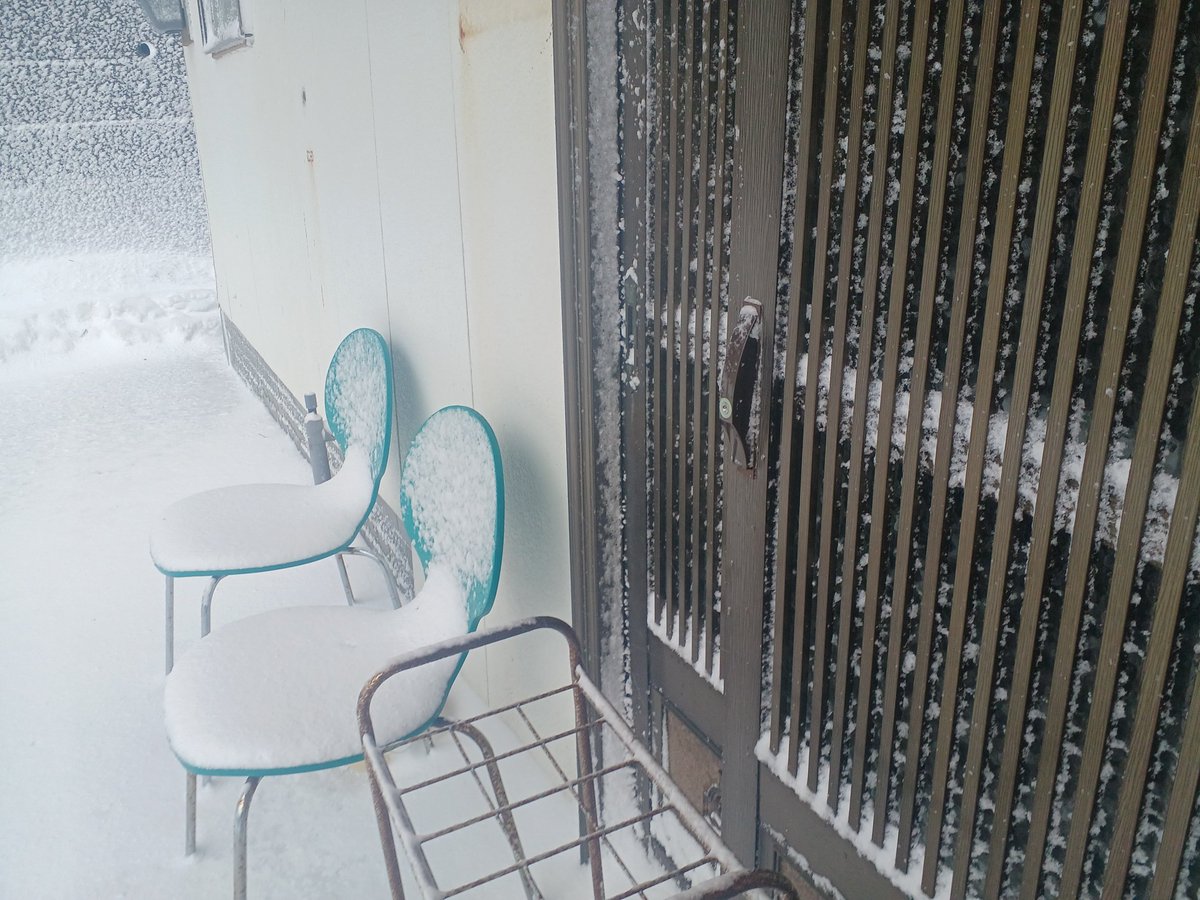 mori_tencho's tweet photo. 大雪と言うより
大吹雪
ホワイトアウト
警報も出てる

積雪量は少ないけど
-２℃
風が強くて
体感
-５℃位

玄関は凍った！

#京都府　#北部　#大雪　#吹雪　#ホワイトアウト　#天気　#雪　#伊根町　#警報 https://t.co/Cn9iY6QaMj