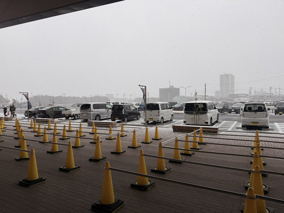 イチゴクラブ㌠ 🌸🧪🍆 (@156323d) on Twitter photo 