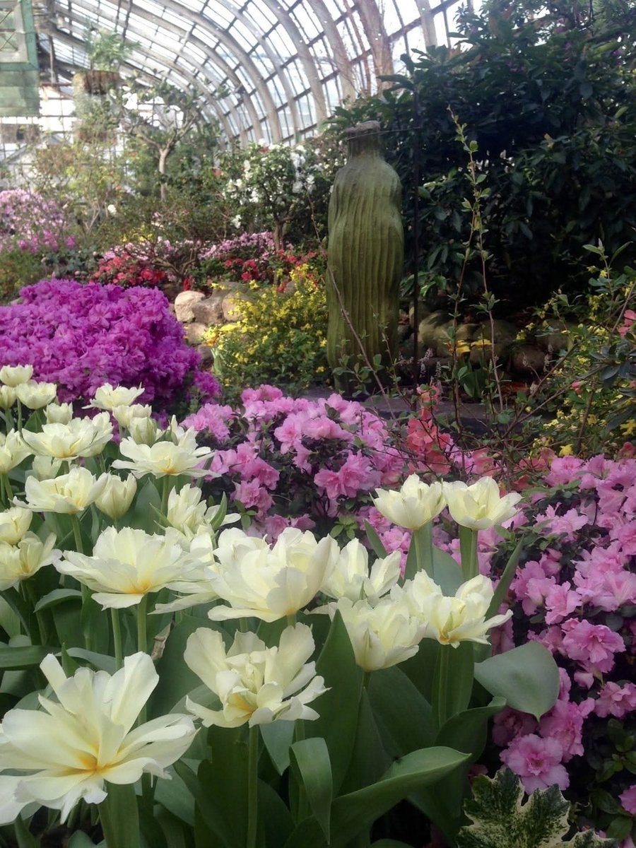 Gen_Boiko's tweet image. Gardens spill an array of colors at the Lincoln Park Conservatory in Chicago, Illinois. Famous for the annual flower show. 

Photo: 
Amy Johnson 

#FlowerReport