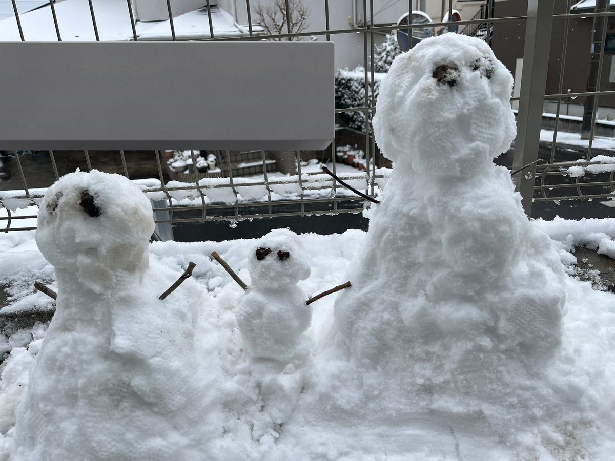 ちゃーりー/ぶるー (@ro9_blue) on Twitter photo 