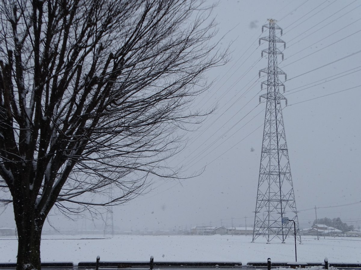 日東工業エニスホール tweet media