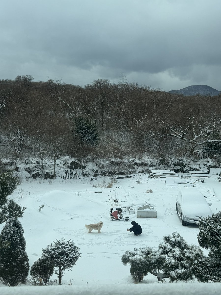 우리집 바깥 풍경 좀 봐주세요.. (이웃집 개 신남)