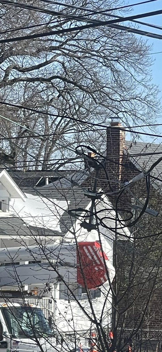 cbutlercup's tweet photo. The power lines for the ice and winds were NO MATCH…as off the poles and homes they did snatch! 
Great job keeping us informed and getting us back up, #Pepco! 
#myfoxdc #FoxNews https://t.co/pHibmmlyRq