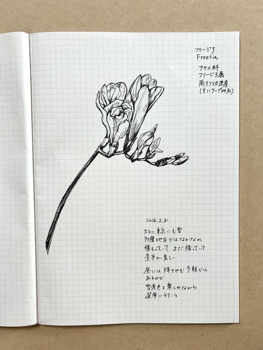 星川あすか Hoshikawa Asuka (@hoshias2) on Twitter photo 