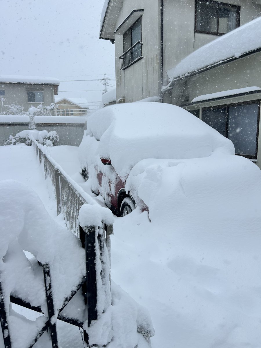 aorieroika's tweet photo. 俺が悪かった
鳥取の雪舐めすぎてた
#鳥取市 https://t.co/NdauLAwHyw