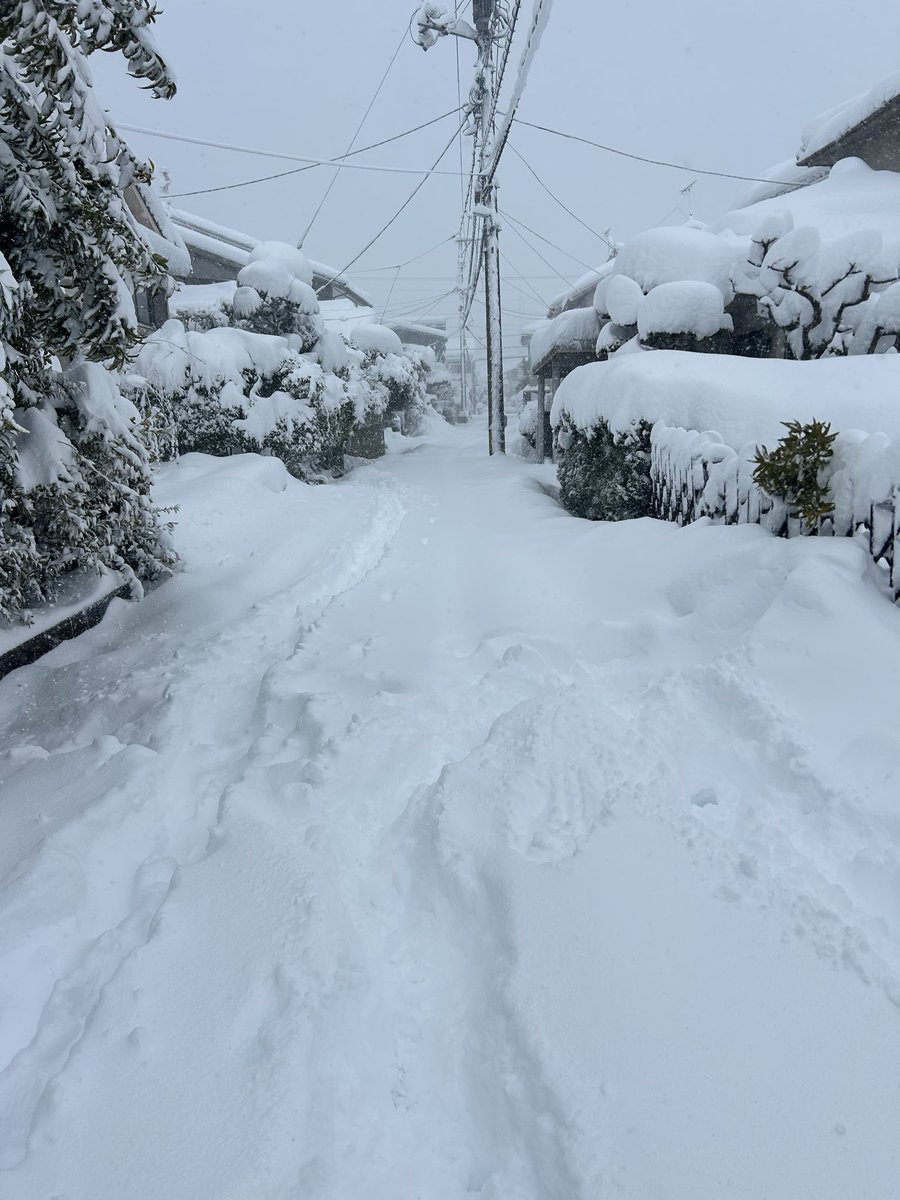 aorieroika's tweet photo. 俺が悪かった
鳥取の雪舐めすぎてた
#鳥取市 https://t.co/NdauLAwHyw