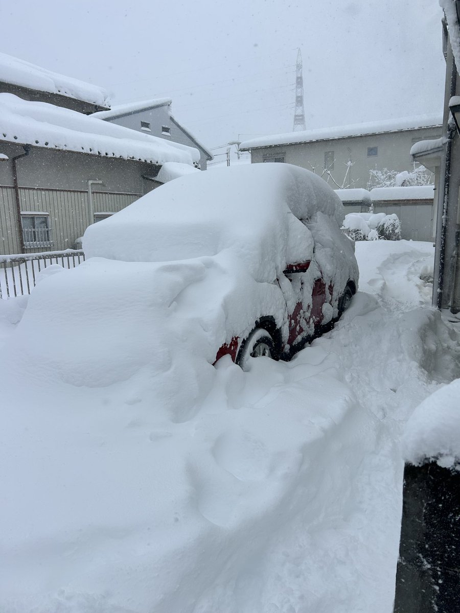 aorieroika's tweet photo. 俺が悪かった
鳥取の雪舐めすぎてた
#鳥取市 https://t.co/NdauLAwHyw