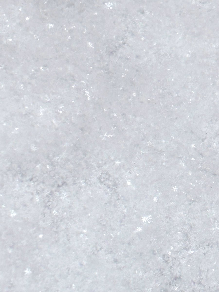 肉眼でも結晶が見えてすごい