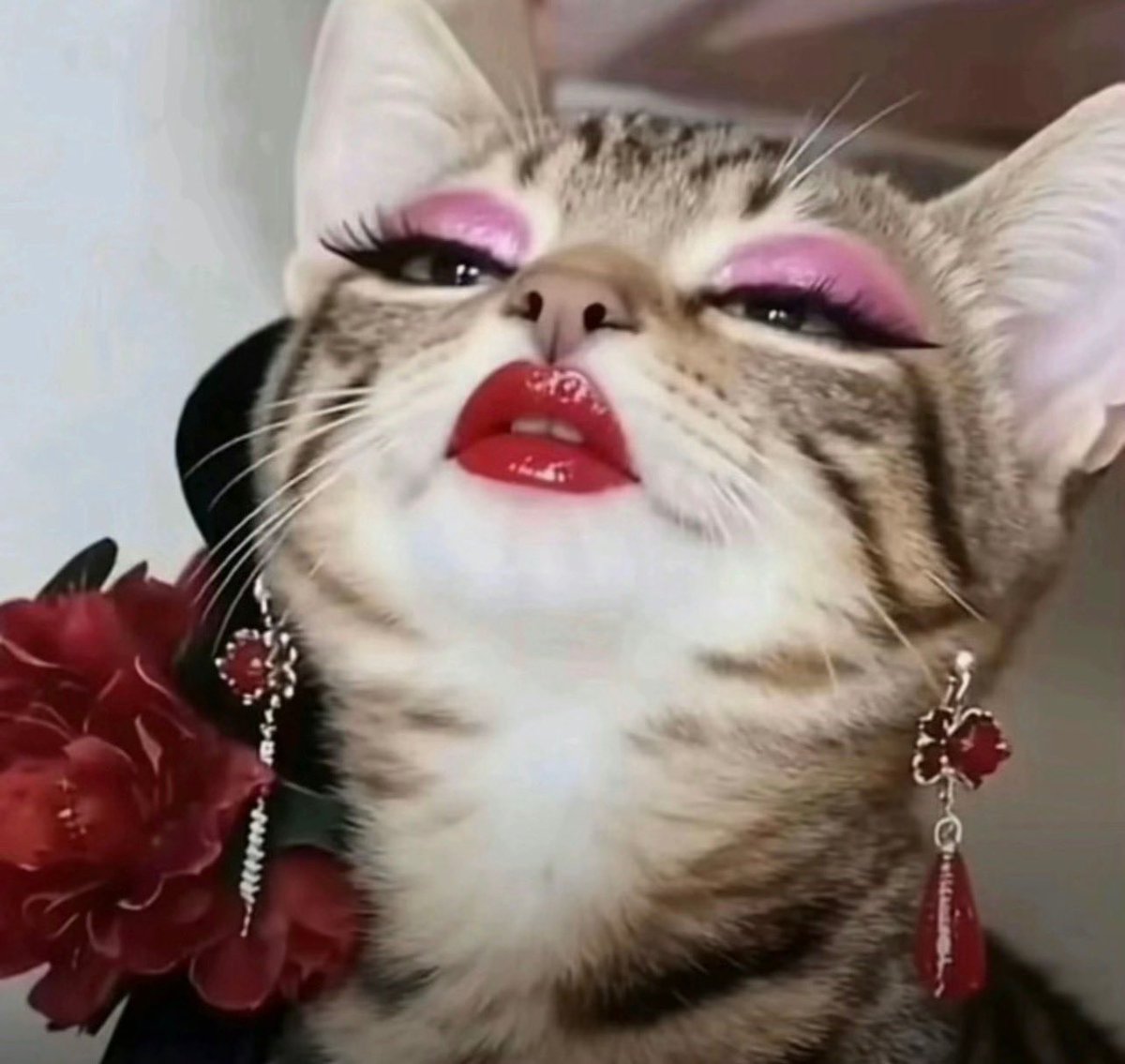 March of the Kalyries, Shannon🍦 tweet media