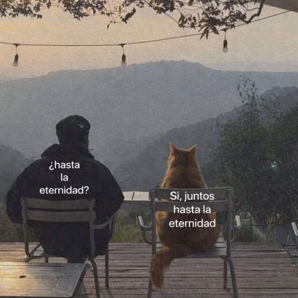 BANDIDOS (@bandidosfrasess) on Twitter photo 