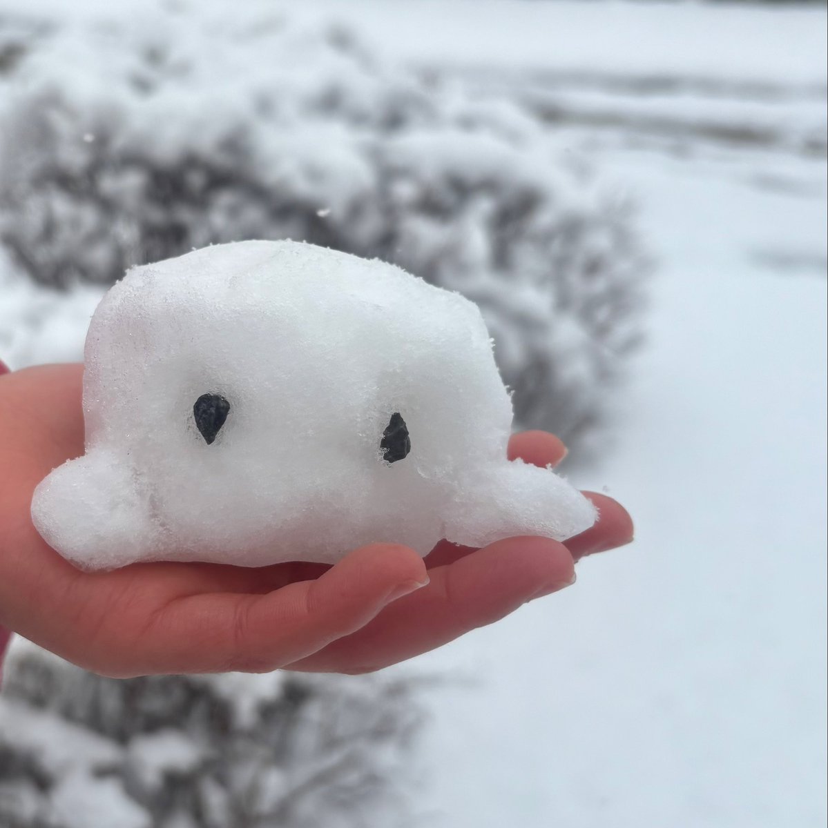 ぽにて tweet media