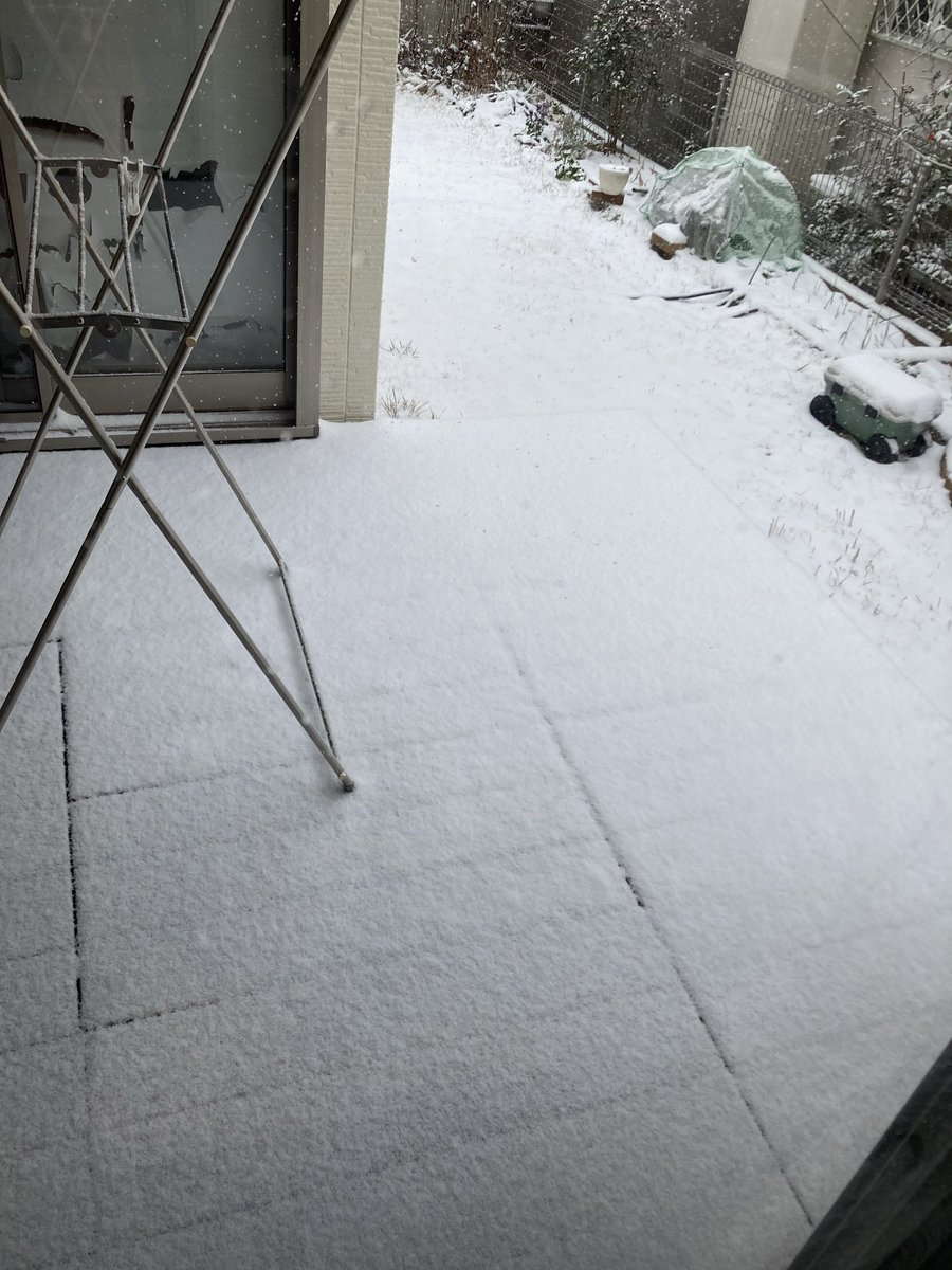 torigara40's tweet photo. 雪積もっとる https://t.co/EKhek1h9e2