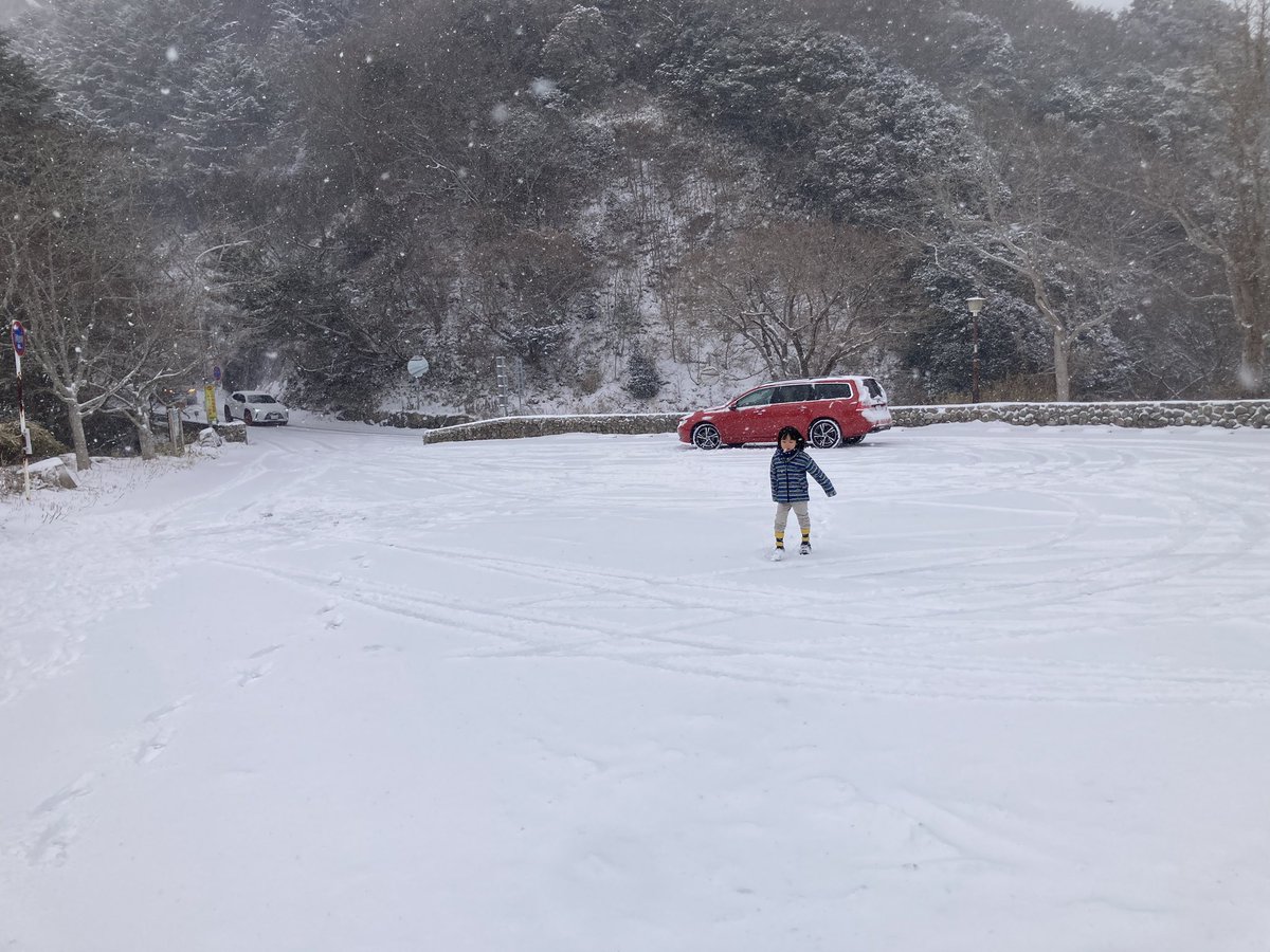 もう無理です！お出かけ中止！！