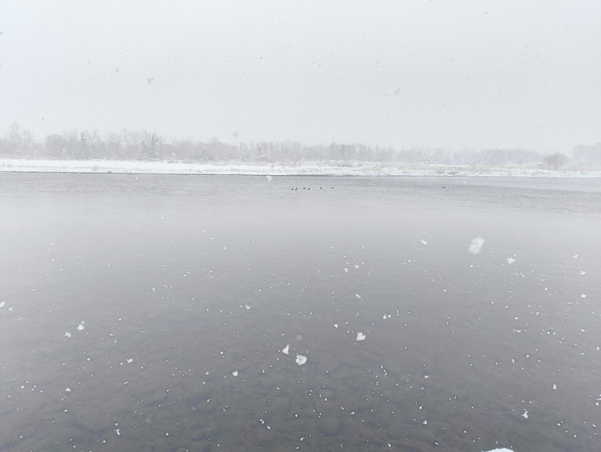 今日一お気に入りの1枚📸、静寂感あって良き